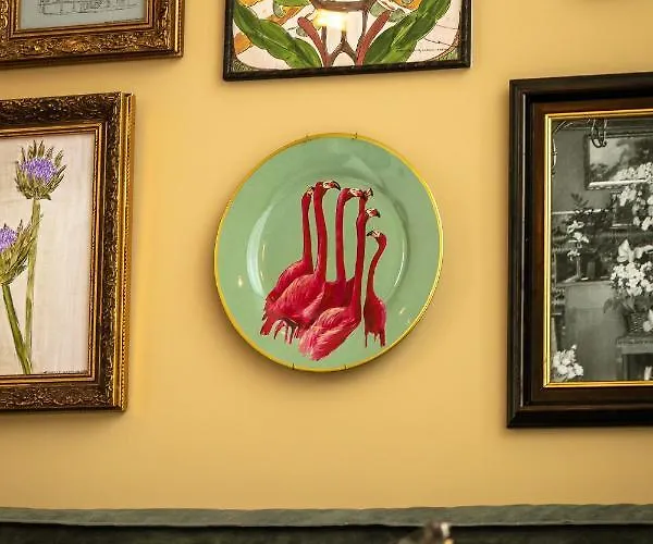 Hotel Stella Boutique